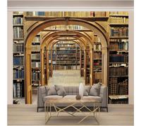 WYXWZ Papier Peint Intissé Photo Wallpaper Mural 3d Moderne Toison Salon Chambre à Coucherr Salle - Tableaux Muraux Tapisserie Photo xxxl 400 x 280cm (Largeur x Hauteur) Bibliothèque