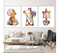 WZXGHE Poster d'anatomie médicale, poster d'anatomie de cœur avec fleurs, images de cœur, poumons, cerveau, décoration de cabinet médical, pour hôpital, clinique, sans cadre (A, 3x50x70cm, Sans cadre)