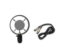Wzxksoac Modèle de Microphone Rétro Vintage Photographie Classique Photographie Microphone du Condenseur pour Enregistrer Le Travail Vidéo