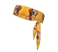 WZYCWB Bandeau de sport Golden Retriever pour badminton, alpinisme et cyclisme absorbant la transpiration