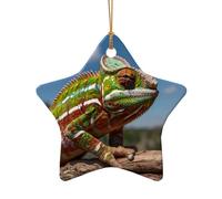 WZYCWB Beau pendentif en céramique en forme d'étoile à motif caméléon, parfait pour décorer votre arbre de Noël pour les fêtes d'hiver, taille unique, Céramique
