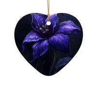 WZYCWB Beau pendentif en céramique en forme d'étoile à motif de petites fleurs, parfait pour décorer votre arbre de Noël pour les fêtes d'hiver, taille unique, Céramique