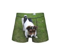 WZYCWB Boxer à motifs chiens jouant sur la pelouse - Taille élastique confortable (S-4XL), Noir , 4XL