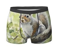 WZYCWB Boxer pour homme imprimé écureuil gris peinture à l'huile - slip respirant et à séchage rapide, multiple (S-XXL), noir, Large