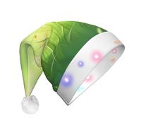 WZYCWB Cao Bang, chapeau de Père Noël à motifs vietnamiens | Chapeau de vacances lumineux en peluche pour Noël, Nouvel An et événements de fête