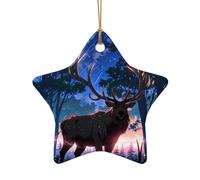 WZYCWB Ce beau sapin de Noël en céramique en forme d'étoile imprimé avec un motif est parfait pour les fêtes de Noël d'hiver et la décoration de la maison.