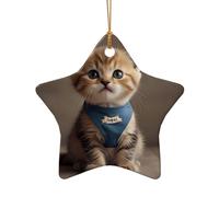 WZYCWB Ce chaton en céramique en forme d'étoile portant un bavoir imprimé avec un motif est parfait pour les fêtes de Noël d'hiver et la décoration de la maison.