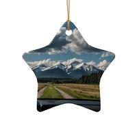 WZYCWB Ce paysage de sapin de Noël en céramique en forme d'étoile imprimé avec un motif est parfait pour les fêtes de Noël d'hiver et la décoration de la maison.