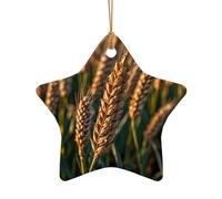 WZYCWB Ce sapin de Noël en céramique en forme d'étoile avec oreilles de blé imprimées avec un motif est parfait pour les fêtes de Noël d'hiver et la décoration de la maison.
