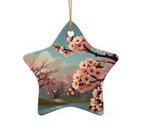 WZYCWB Ce sapin de Noël en céramique en forme d'étoile avec un motif est parfait pour les fêtes de Noël d'hiver et la décoration de la maison.