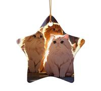 WZYCWB Ce sapin de Noël en céramique en forme d'étoile beau chaton imprimé avec un motif est parfait pour les fêtes de Noël d'hiver et la décoration de la maison.