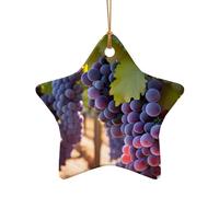 WZYCWB Ce sapin de Noël en céramique en forme d'étoile de raisin du désert imprimé avec un motif est parfait pour les fêtes de Noël d'hiver et la décoration de la maison.