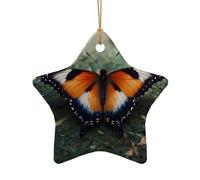 WZYCWB Ce sapin de Noël en céramique en forme d'étoile et de papillon imprimé avec un motif est parfait pour les fêtes de Noël d'hiver et la décoration de la maison.