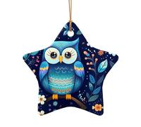 WZYCWB Cet arbre de Noël en céramique en forme d'étoile imprimé avec un motif est parfait pour les fêtes de Noël d'hiver et la décoration de la maison.