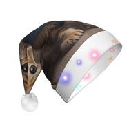WZYCWB Chapeau de Père Noël à motif chaton portant un bavoir | Chapeau de vacances lumineux en peluche pour Noël, Nouvel An et événements de fête