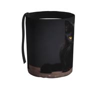 WZYCWB La poubelle de voiture mignonne à suspendre en forme de chat noir convient à de nombreux types de voitures. Elle est pratique et pratique, et est tout simplement le partenaire parfait pour la