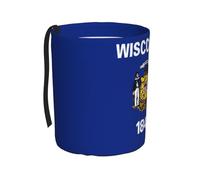 WZYCWB La poubelle de voiture suspendue avec drapeau de l'État du Wisconsin convient à de nombreux types de voitures. Elle est pratique et pratique, et est tout simplement le partenaire parfait pour