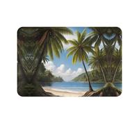 WZYCWB Paillasson absorbant le sol, taille 40,6 x 61 cm, protège efficacement le salon, la salle de bain et la porte d'entrée du nettoyage des cocotiers au bord de la mer