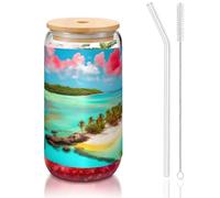 WZYCWB Paysage des Caraïbes 473,6 g - Couvercle en bambou - Tasse à café glacé - Jolies tasses à thé glacé - Idéales pour le café, les accessoires de bar, les cadeaux esthétiques