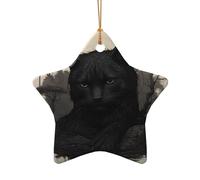 WZYCWB Pendentif en céramique en forme d'étoile avec motif chat noir, parfait pour décorer votre arbre de Noël pour les fêtes d'hiver