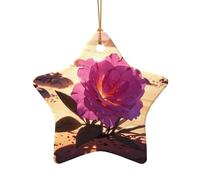 WZYCWB Pendentif en céramique en forme d'étoile avec motif fleurs dans le désert, parfait pour décorer votre arbre de Noël pour les fêtes d'hiver