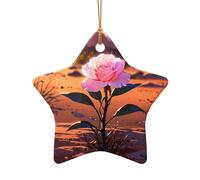 WZYCWB Pendentif en céramique en forme d'étoile avec motif rose du désert, parfait pour décorer votre sapin de Noël pour les fêtes d'hiver