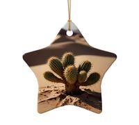 WZYCWB Pendentif en céramique en forme d'étoile de plante du désert, parfait pour décorer votre arbre de Noël pour les fêtes d'hiver