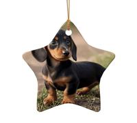 WZYCWB Pendentif en céramique en forme d'étoile en forme de chiot teckel, parfait pour décorer votre arbre de Noël pour les fêtes d'hiver