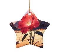 WZYCWB Pendentif en céramique en forme d'étoile rouge dans le désert, parfait pour décorer votre arbre de Noël pour les fêtes d'hiver