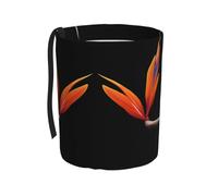 WZYCWB Poubelle de voiture colorée à suspendre motif oiseau de paradis, pratique et pratique, adaptée à plusieurs modèles de voiture, offrant un espace de rangement idéal