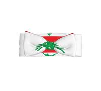 WZYCWB Serre-tête avec nœud pour enfant Motif drapeau du Liban 0-6 mois