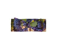 WZYCWB Serre-tête élastique pour enfants de 0 à 6 mois, motif raisin du désert