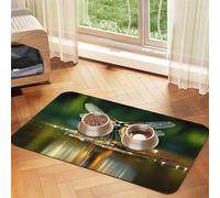 WZYCWB Sets de table absorbants pour animaux de compagnie Motif libellules 30 x 45 cm - Tapis antidérapant pour nourriture et bol d'eau pour chiens et chats