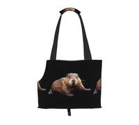 WZYCWB Smart Beaver Sac de voyage léger pour chats et sac à bandoulière respirant pour petit chien pour un transport facile