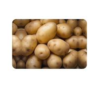 WZYCWB Tapis de bienvenue imprimé pomme de terre - 40,6 x 61 cm - Tapis absorbant pour porte de salle de bain et cuisine