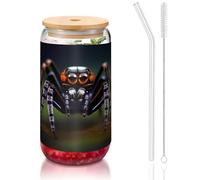 WZYCWB Tasses à café glacé avec couvercle en bambou et paille - Motif araignées tropicales - 473,6 g - Idéales pour les cafés, les accessoires de bar, les cadeaux esthétiques