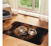 WZYCWB The Lion's Gaze Sets de table absorbants pour animaux de compagnie imprimés 40 x 60 cm - Tapis de nourriture antidérapant pour chiens et chats