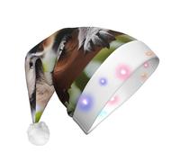 WZYCWB Un petit koala à motif de Père Noël | Chapeau de vacances lumineux en peluche pour Noël, Nouvel An et événements de fête