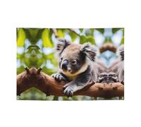WZYCWB Une petite bannière koala pour les anniversaires, les chants de Noël, les remises de diplôme et les anniversaires.