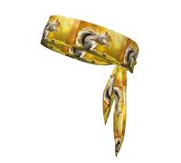 WZYWHJ Bandeau de sport avec imprimé écureuil mangeant des noyers, pour homme et femme, bandeau pour la course à pied, l'entraînement, le football