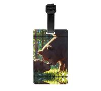 WZYWHJ Big Brown Bear Étiquettes de sac à bagages, étiquettes de protection de la vie privée pour homme et femme