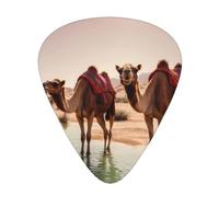 Wzywhj Camels In The Oasis Lot de 12 médiators pour guitare acoustique et électrique Prise en main facile