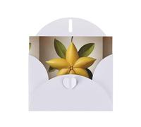 WZYWHJ Carte de vœux blanche de 15,2 x 10,2 cm avec enveloppe pour Noël, anniversaire, Saint-Valentin, fête, invitation, carte, étoile fruitée, étoile à cinq branches