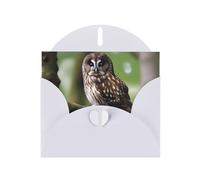 WZYWHJ Carte de vœux blanche de 15,2 x 10,2 cm avec enveloppe pour Noël, anniversaire, Saint-Valentin, fête, invitation à une fête, image de chouette marron