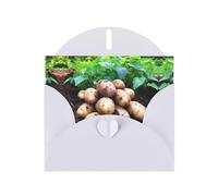 WZYWHJ Carte de vœux blanche pour Noël, anniversaire, anniversaire de mariage et autres motifs pommes de terre fraîches