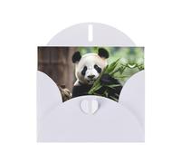 WZYWHJ Carte de vœux blanche pour Noël, anniversaire, anniversaire de mariage et autres photos Panda dans une forêt de bambou