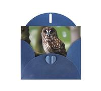 WZYWHJ Carte de vœux bleue de 15,2 x 10,2 cm avec enveloppe pour Noël, anniversaire, Saint-Valentin, fête d'invitation avec motif chouette marron