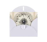 WZYWHJ Carte de vœux de vacances blanche 15,2 x 10,2 cm avec enveloppe pour Noël, anniversaire, Saint-Valentin, fête, invitation mécanique, imprimé pissenlit