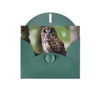 WZYWHJ Carte de vœux de vacances vert foncé 15,2 x 10,2 cm avec enveloppe pour Noël, anniversaire, Saint-Valentin, fête, invitation à une fête, image de chouette marron