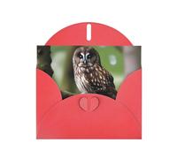 WZYWHJ Carte de vœux rouge de 15,2 x 10,2 cm avec enveloppe pour Noël, anniversaire, Saint-Valentin, fête d'invitation avec motif chouette marron